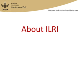 Introduction to the Workshop on Smallholder Dairy Value Chain Transformation in Bihar—Challenges, Opportunities and the Way Forward