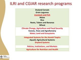 Introduction to the Workshop on Smallholder Dairy Value Chain Transformation in Bihar—Challenges, Opportunities and the Way Forward