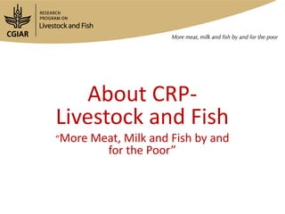 Introduction to the Workshop on Smallholder Dairy Value Chain Transformation in Bihar—Challenges, Opportunities and the Way Forward