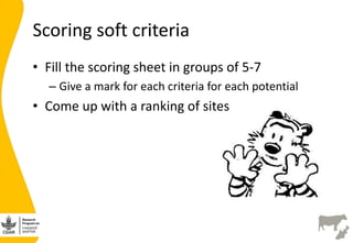 Developing the India smallholder dairy value chain impact pathway(s) 