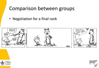 Developing the India smallholder dairy value chain impact pathway(s) 