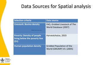 Developing the India smallholder dairy value chain impact pathway(s) 