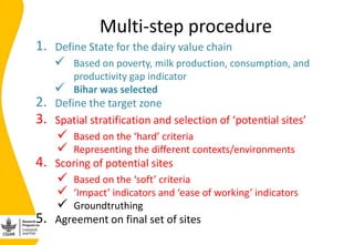 Developing the India smallholder dairy value chain impact pathway(s) 