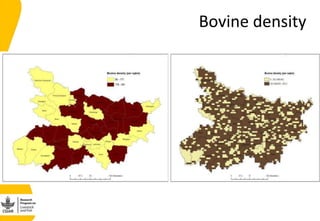 Developing the India smallholder dairy value chain impact pathway(s) 