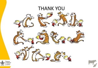 Site selection in the dairy value chain in Bihar state, India