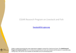 Site selection in the dairy value chain in Bihar state, India