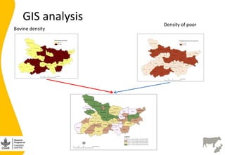 Site selection in the dairy value chain in Bihar state, India