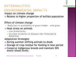 Smallholder dairy value chain in Bihar situation analysis