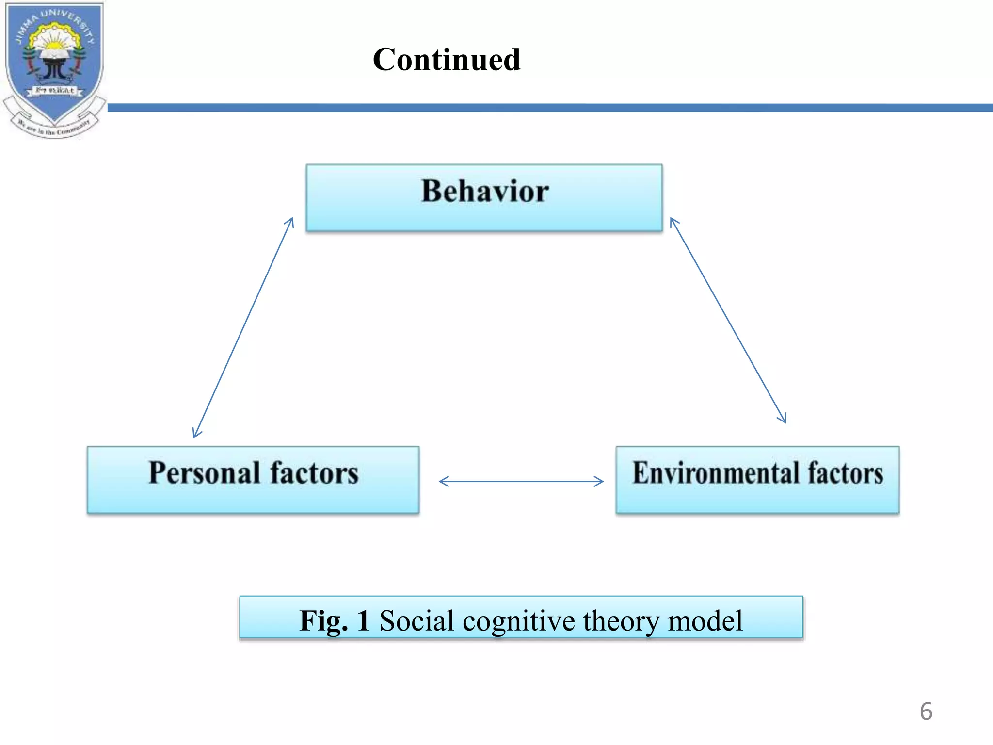 Fig. 1 Social cognitive theory model
6
Continued
 