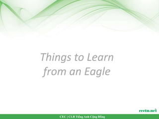 Things to Learn
 from an Eagle


    CEC | CLB Tiếng Anh Cộng Đồng
 