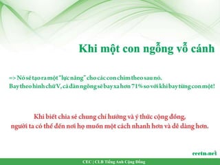 CEC | CLB Tiếng Anh Cộng Đồng
 