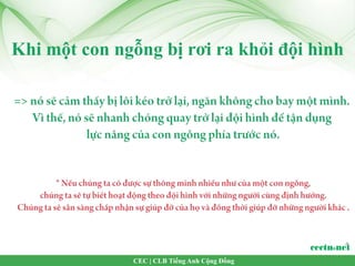 CEC | CLB Tiếng Anh Cộng Đồng
 
