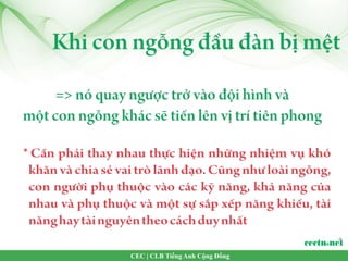 CEC | CLB Tiếng Anh Cộng Đồng
 