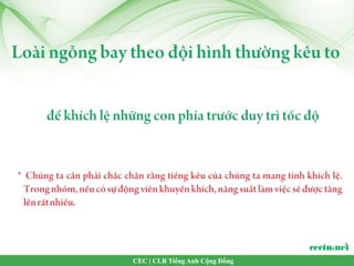 CEC | CLB Tiếng Anh Cộng Đồng
 