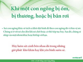 CEC | CLB Tiếng Anh Cộng Đồng
 