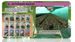 8.- ACTIVIDADES BASICAS
6.-Aporte de insumos orgánicos, semillas y
plantitas de hortalizas por parte de los
estudiantes y padres de familia.
7.- Convenio para la donación de
plantas con el vivero forestal.
 