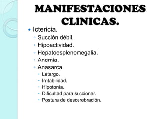 MANIFESTACIONES
CLINICAS.
 Ictericia.
◦ Succión débil.
◦ Hipoactividad.
◦ Hepatoesplenomegalia.
◦ Anemia.
◦ Anasarca.
 Letargo.
 Irritabilidad.
 Hipotonía.
 Dificultad para succionar.
 Postura de descerebración.
 