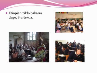  Etiopian ziklo bakarra
dago, 8 urtekoa.
 