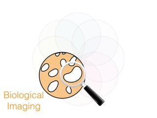 Biological
Imaging
 