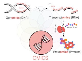 OMICS
Genomics (DNA)
TACGGTATCAA ATCG
TA
A
TGCCATAT TGTAGC
T T TGT
A
G
CAA
AT
C
A
T…
T…
Gene
G
UAU CAA A
G UAU
G
CAUAUUGU
A
GUAUA
Transcriptomics (RNA)
Ribosome
Amino Acids
Proteomics (Proteins)
 