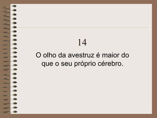 14
O olho da avestruz é maior do
que o seu próprio cérebro.
 