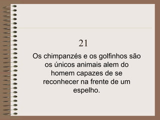 21
Os chimpanzés e os golfinhos são
os únicos animais alem do
homem capazes de se
reconhecer na frente de um
espelho.
 