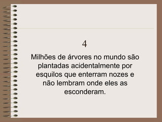 4
Milhões de árvores no mundo são
plantadas acidentalmente por
esquilos que enterram nozes e
não lembram onde eles as
esconderam.
 