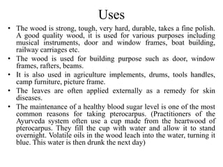 Uses
• The wood is strong, tough, very hard, durable, takes a fine polish.
A good quality wood, it is used for various purposes including
musical instruments, door and window frames, boat building,
railway carriages etc.
• The wood is used for building purpose such as door, window
frames, rafters, beams.
• It is also used in agriculture implements, drums, tools handles,
camp furniture, picture frame.
• The leaves are often applied externally as a remedy for skin
diseases.
• The maintenance of a healthy blood sugar level is one of the most
common reasons for taking pterocarpus. (Practitioners of the
Ayurveda system often use a cup made from the heartwood of
pterocarpus. They fill the cup with water and allow it to stand
overnight. Volatile oils in the wood leach into the water, turning it
blue. This water is then drunk the next day)
 