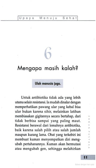 Bijak Memanfaatkan Antibiotik