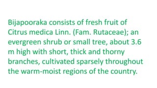 Bijapooraka consists of fresh fruit of 
Citrus medica Linn. (Fam. Rutaceae); an 
evergreen shrub or small tree, about 3.6 
m high with short, thick and thorny 
branches, cultivated sparsely throughout 
the warm-moist regions of the country. 
 
