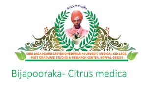 Bijapooraka- Citrus medica 
 