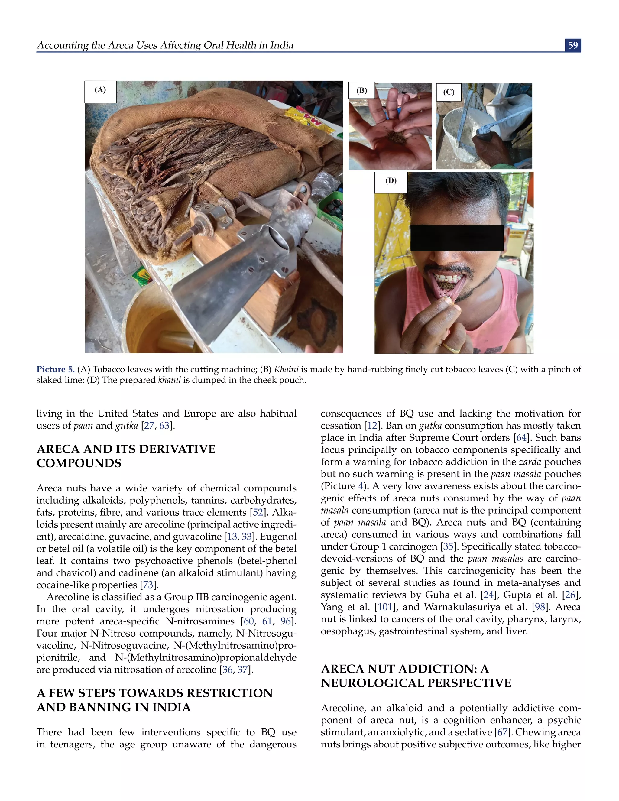 An Account Of Areca Nut Uses And Oral Health Damages From An Indian An Account Of Areca Nut Uses And Oral Health Damages From An Indian