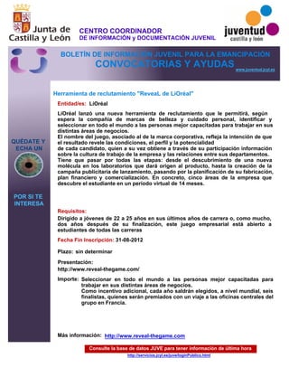 Bije conv.ayudas 14 06-2012,1