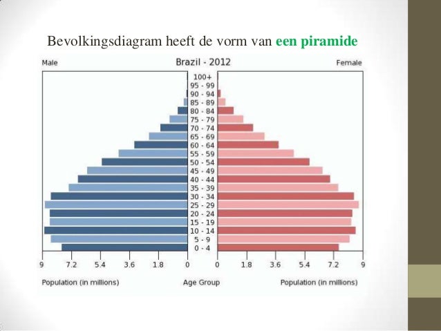 Bevolkingsvraagstukken Brazilie