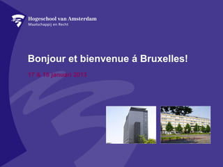 Bonjour et bienvenue á Bruxelles!
17 & 18 januari 2013
 
