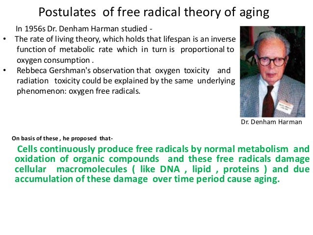 Presentation on Free Radicals Theory of Aging ppt
