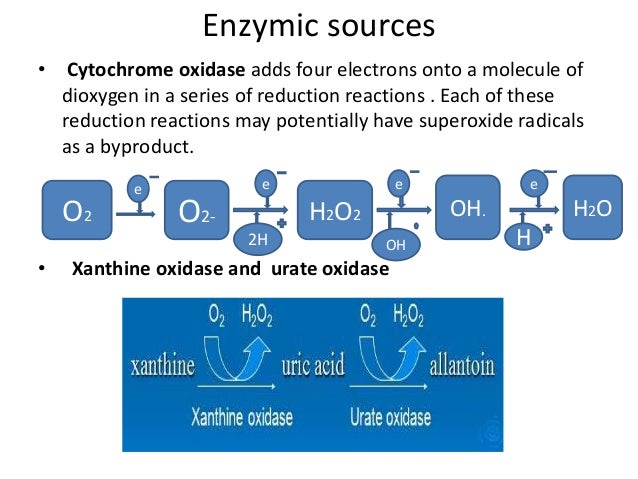 Presentation on Free Radicals Theory of Aging ppt