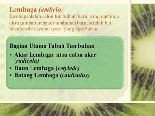 Lembaga (embrio)
Lembaga dalah calon tumbuhan baru, yang nantinya
akan tumbuh menjadi tumbuhan baru, setelah biji
memperoleh syarat-syarat yang diperlukan.
Bagian Utama Tubuh Tumbuhan
• Akar Lembaga atau calon akar
(radicula)
• Daun Lembaga (cotyledo)
• Batang Lembaga (cauliculus)
 