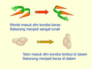Wortel masuk dlm kondisi keras
Sekarang menjadi sangat lunak
Telor masuk dlm kondisi lembut di dalam
Sekarang menjadi keras di dalam
 