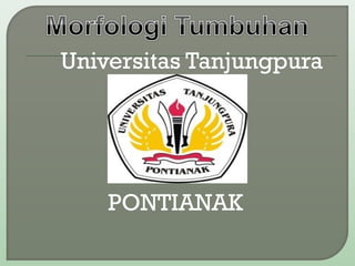 Universitas Tanjungpura
PONTIANAK
 