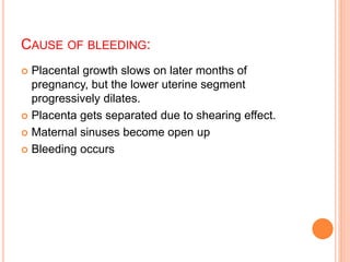 CAUSE OF BLEEDING:
 Placental growth slows on later months of
pregnancy, but the lower uterine segment
progressively dilates.
 Placenta gets separated due to shearing effect.
 Maternal sinuses become open up
 Bleeding occurs
 