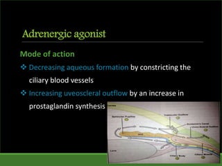Adrenergic agonist
Mode of action
 Decreasing aqueous formation by constricting the
ciliary blood vessels
 Increasing uveoscleral outflow by an increase in
prostaglandin synthesis
 