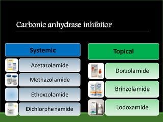 Carbonic anhydrase inhibitor
Systemic
Acetazolamide
Methazolamide
Ethoxzolamide
Dichlorphenamide
Topical
Dorzolamide
Brinzolamide
Lodoxamide
 