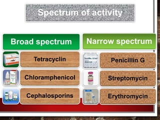 Narrow spectrum
Penicillin G
Streptomycin
Erythromycin
Broad spectrum
Tetracyclin
Chloramphenicol
Cephalosporins
Spectrum of activity
 
