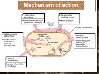 Mechanism of action
 