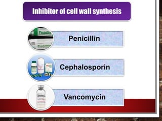 Penicillin
Cephalosporin
Vancomycin
Inhibitor of cell wall synthesis
 