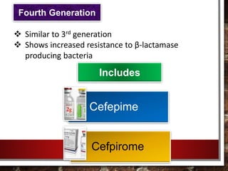 Cefepime
Cefpirome
 Similar to 3rd generation
 Shows increased resistance to β-lactamase
producing bacteria
Fourth Generation
Includes
 