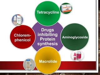 Drugs
inhibiting
Protein
synthesis
Tetracycline
Chlorem-
phenicol
Macrolide
Aminoglycoside
 