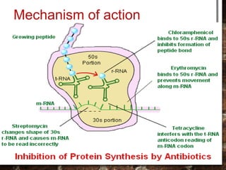 Mechanism of action
 