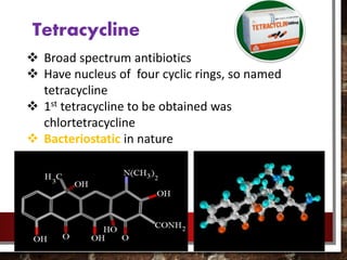 Tetracycline
 Broad spectrum antibiotics
 Have nucleus of four cyclic rings, so named
tetracycline
 1st tetracycline to be obtained was
chlortetracycline
 Bacteriostatic in nature
 